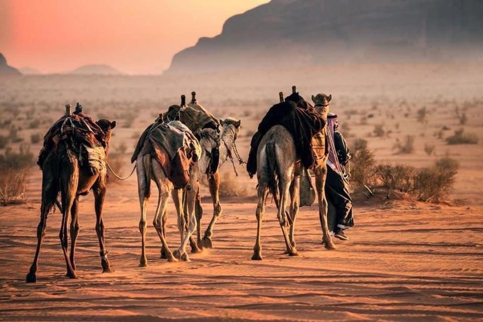 Tamim Luxury Wadi Rum Camp Buitenkant foto